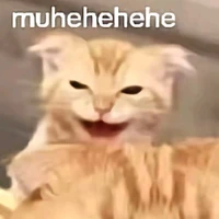 แมวส้มดีด🙀