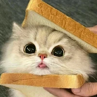 แอดแอ่นแอดแอ่นแอ๊ดด