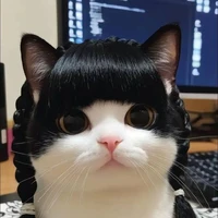 Dark Writer