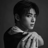 Cha Eun Woo (Right-hand man of JK)
