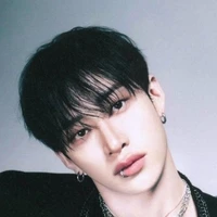 Bang Chan ( Alpha )