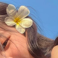 น้ำอิง พ.พ.น