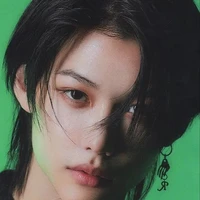 Lee Felix Yonbook