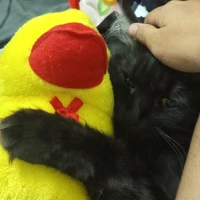 แอดเอง👉👈