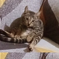 YOUR  DELULU (AUNTY)