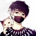 Noha