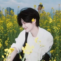 ดาวเหนือ/น.อ