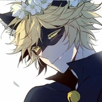 Chat Noir