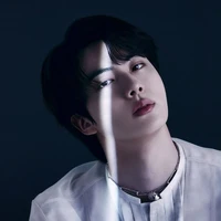 Seokjin grenad