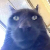 𝑨𝒖𝒕𝒐𝒓𝒂/𝑴𝒊𝒍𝒚