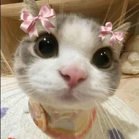 แอดคนดีคนเดิม