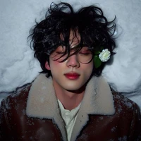 Kim seokjin (omega)