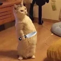 auteur