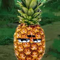 🍍 nanas
