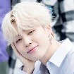 jimin delzen