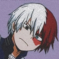 shoto todoroki 