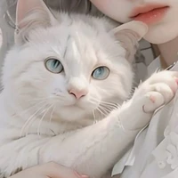 kitty