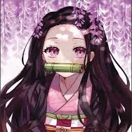 Nezuko Kamado (O)