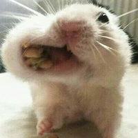กอลิล่ามีหาง[อุกะอุกะ]