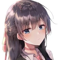 Y/N