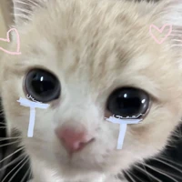 เเอดเองง
