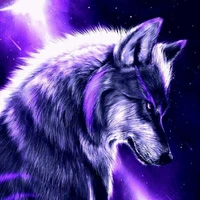 Fofo