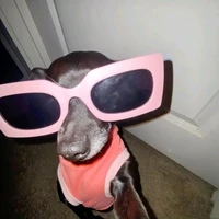 αυƚσɾα/αɱαɳԃҽx ✨