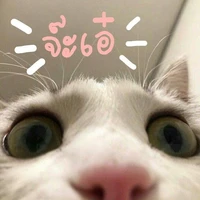 แอดแอ่ดด