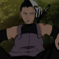 shikamaru nara (a.d)18
