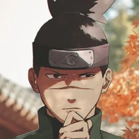 Iruka Umino (a.d)25