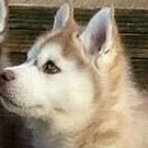 lunna