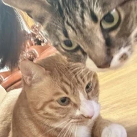 Cara qye quer meu cu??🤨🏳️‍🌈