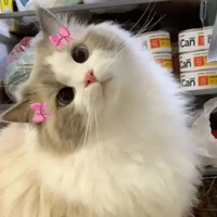 แอด