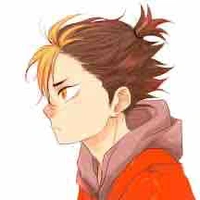 Noya 