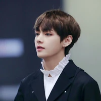 Kim taehyung ( Alpha heir)