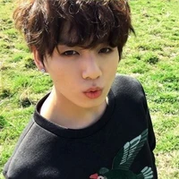 jeon Jungkook ( omega )