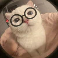 แอดเอง
