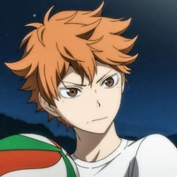 shoyo hinata
