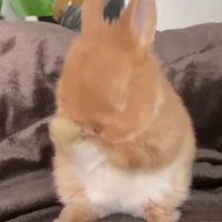 แอดเอง~