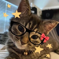 ~[°eu ° autora°]~