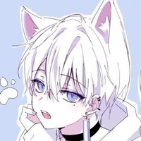 Mateo (gato) 24