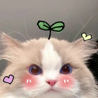 แอด