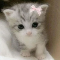 Nuna (hija de liam)