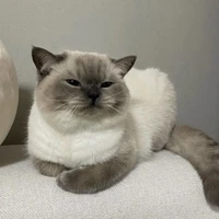 เม้ง