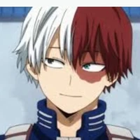 sohoto todoroki