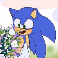 ،،̲ 🌭✶ ᨨ 𓏔 sonic❕# ’ ‚ :P