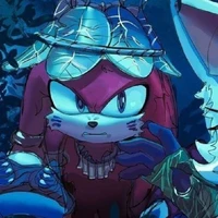 ،،̲ 🦾✶ ᨨ 𓏔 knuckles❕# ’ ‚ :P
