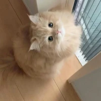 Mel