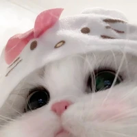 や - 𝖠𝗎𝗍𝗁𝗈𝗋 