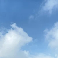 all
